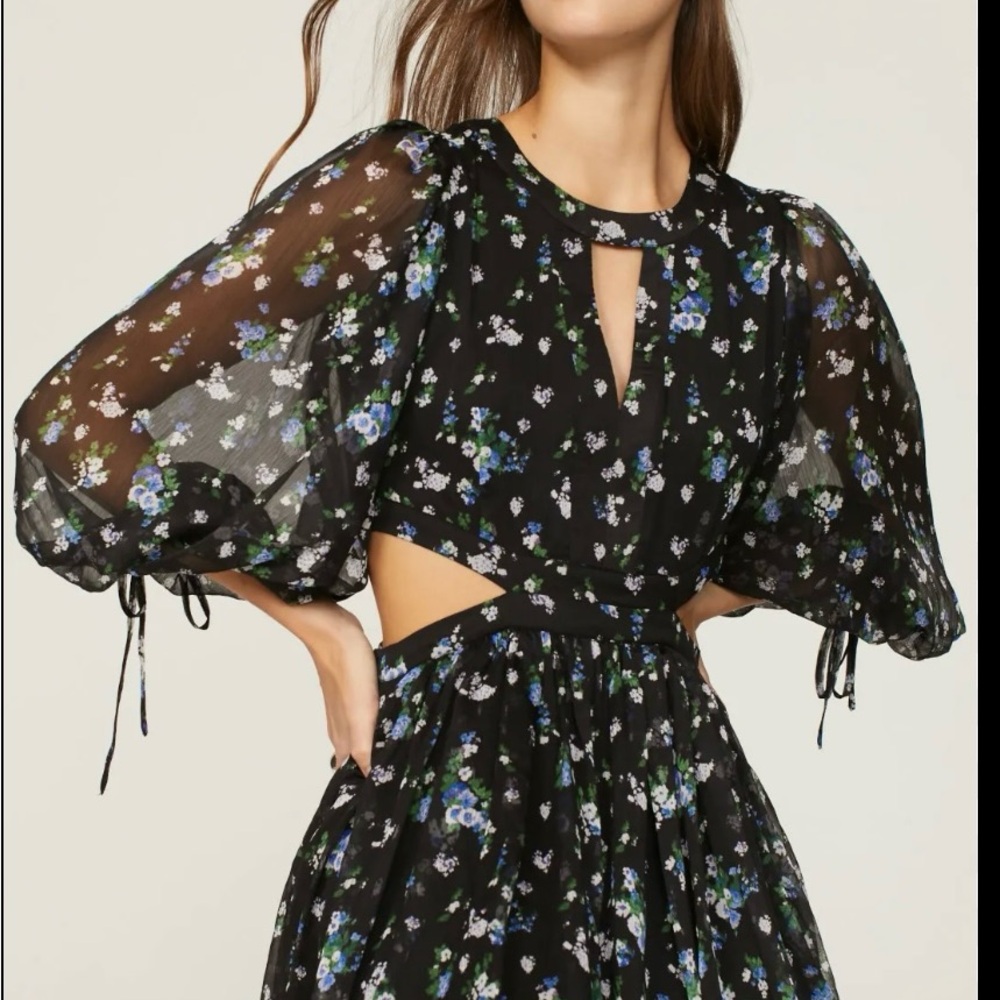 Maje Sheer Black (cut out )Dress with Blue Floral Pattern - Picture 3 of 14